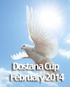Punjab Pigeon Club - Dostana cup - February 2014