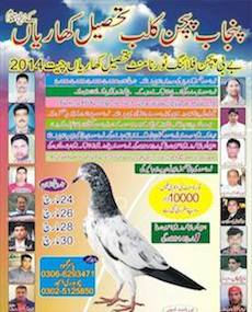 Punjab Pigeon Club - Baby pigeon flying tournament - Cheet 2014