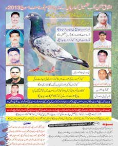 Ittefaq Pigeon Club - Tehsil Kharian - Assoj 2013