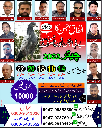 Itfaq pigeon club Chetar cup tehseel kharian